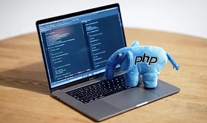 PHP Web Development